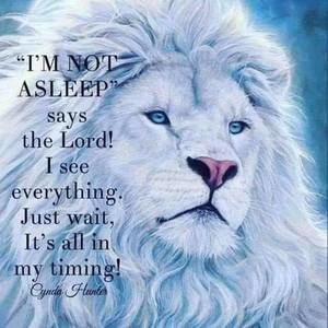 Meet your Posher, Sergio